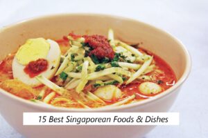 15 Best Singaporean Foods & Dishes 