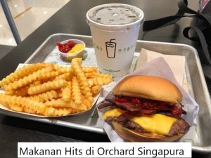 Makanan Hits di Orchard Singapura